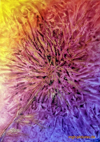 Ewige Blume
Acryl auf Leinwandüberzogenen Malkarton 60x40cm 
Schlüsselwörter: abstrakt